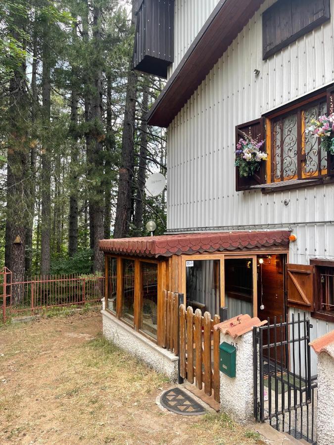 La Veranda Nella Neve - Camigliatello Silano Zewnętrze zdjęcie